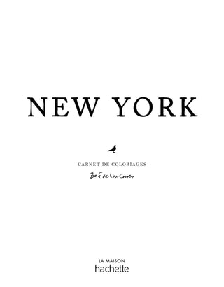 Carnet du voyageur New York