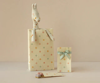Sachet cadeau pois