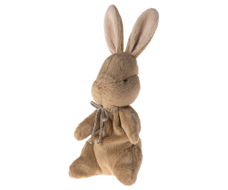 Mon premier lapin