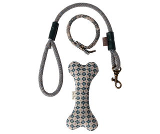 Accessoires chiot Bleu