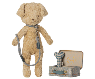Accessoires chiot Bleu