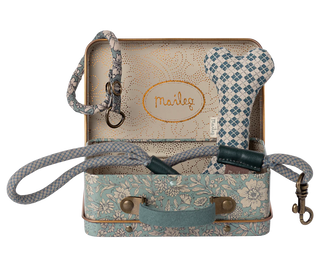 Accessoires chiot Bleu