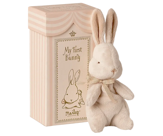 Mon premier lapin