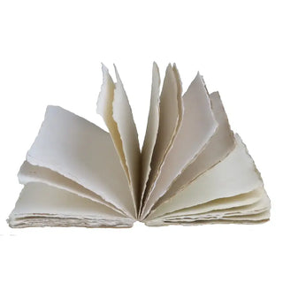 Carnet en papier parchemin uni façon livre ancien 144p coton en herbe