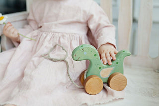 Jouet en bois Dinosaure Friendly Toys Coton en Herbe