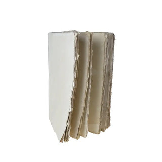 Carnet parchemin uni façon livre ancien A5 96p epigram coton en herbe