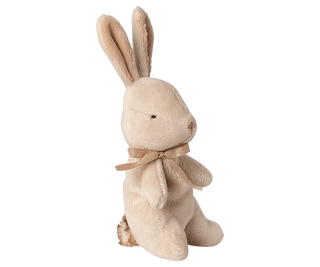 Mon premier lapin