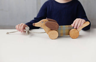 Pull Toy Dog chien saussice à tirer Friendly Toys Coton en Herbe