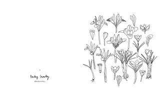 fleurs