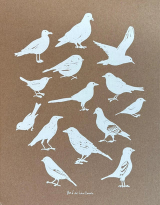 Carnet Oiseau