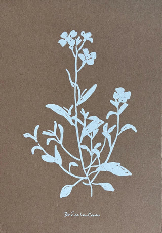 Carnet Brin Sauvage