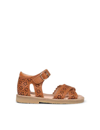 Sandale crossover scallop cognac petit nord enfant boutique coton en herbe