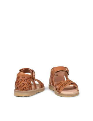 Sandale crossover scallop cognac petit nord enfant Chez coton en herbe