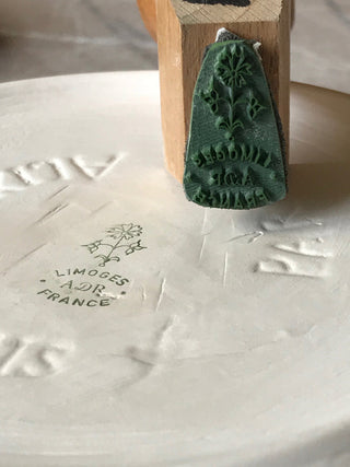 Alix D.Reynis à retrouver chez Coton en Herbe