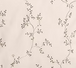 Botany