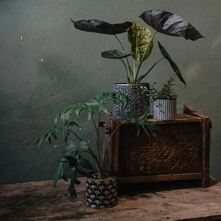 Set de 3 cache-pots en métal doré signé Boncoeurs, créations artisanales décoratives au charme intemporel, proposées par la boutique Coton en Herbe.
