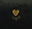 Carbonne Coeur