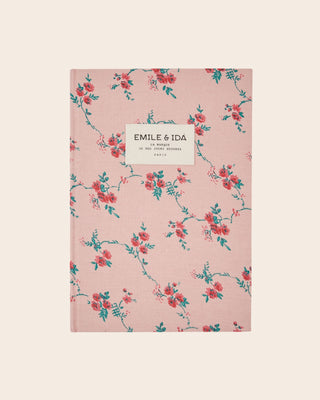 Cahier Aster emile et ida coton en herbe