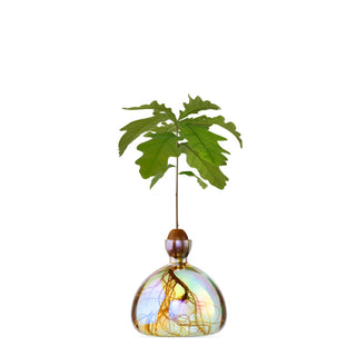 Vase à gland