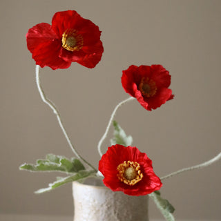 Coquelicots Sauvages rouge