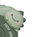 Dino