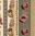 Flore olive