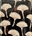 Ginko