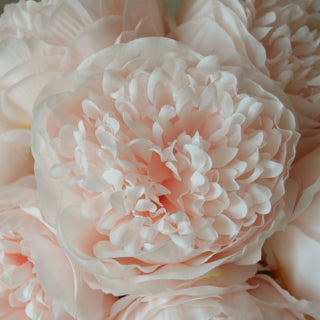 Pivoines
