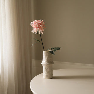 Dalia cactus