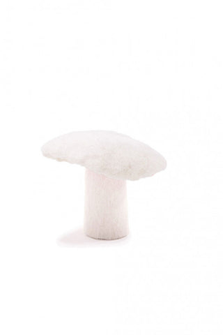 Champignon Naturel
