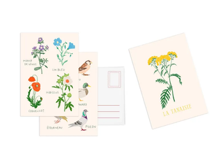 Set cartes postales Fleur, de Zoé de Las Cases
