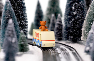 Van Teddy Bear