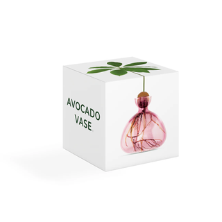 Vase à avocat