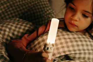 Zoo Buddy Light Koala