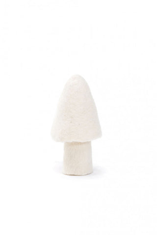 Champignon Morille
