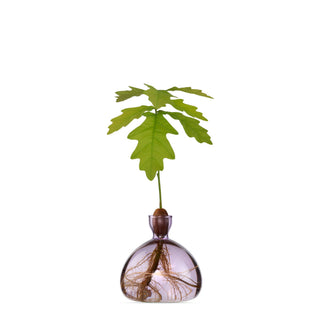 Vase à gland