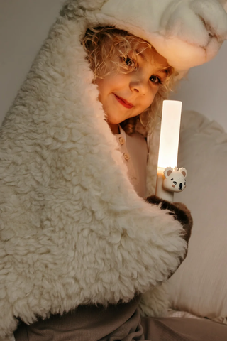 Zoo Buddy Light Koala