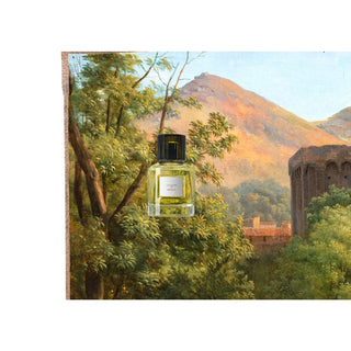 Parfum Medie