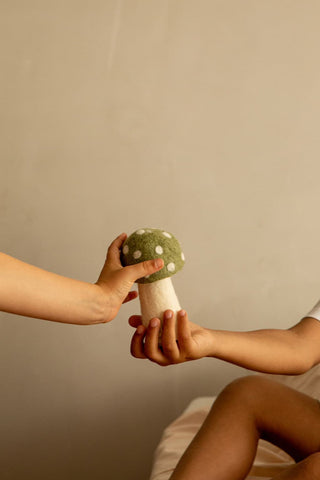 Champignon Dotty Sauge