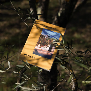 Puglia A Week Abroad