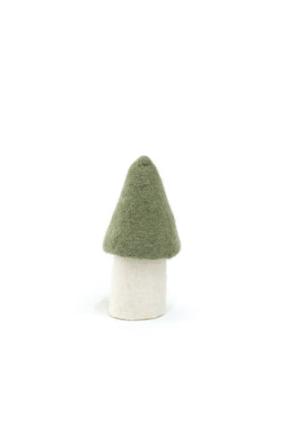 Champignon Morille