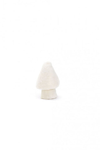 Champignon Morille