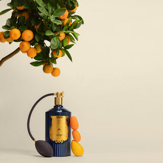 Vaporisateur Reggio