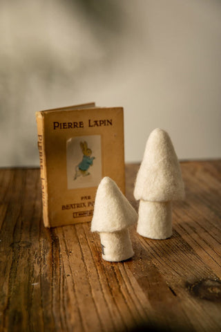 Champignon Morille