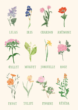Set cartes postales Fleur, de Zoé de Las Cases