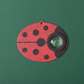 Bee eye Lady Bird