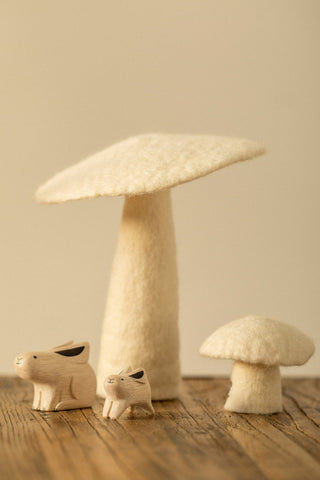 Champignon Naturel