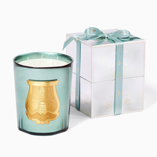 La bougie Fir