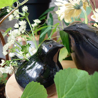 Le petit oiseau