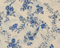 Orchid bleu